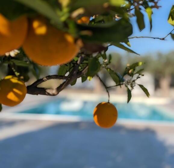 צימר Villa Dafne