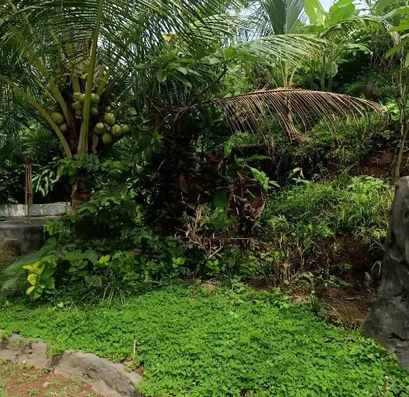 Hotelli Bamboo Oasis