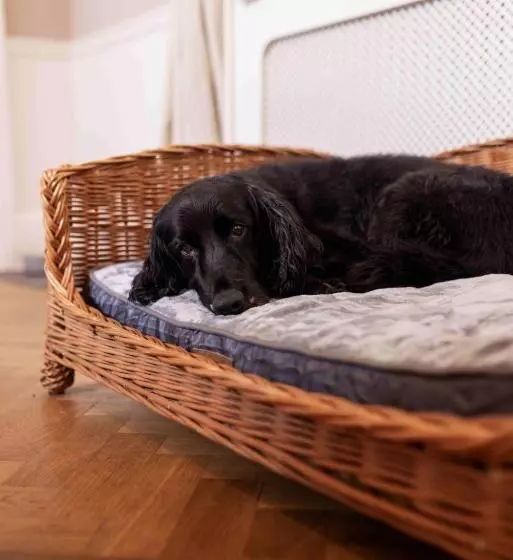 هتل The Pavilion Bisley