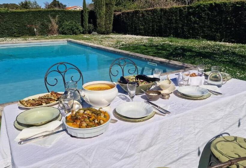 Bed and Breakfast Casita Alegria