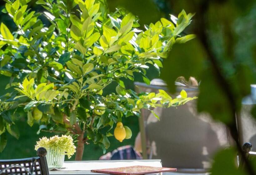 酒店 Langenmantel Historic Suites