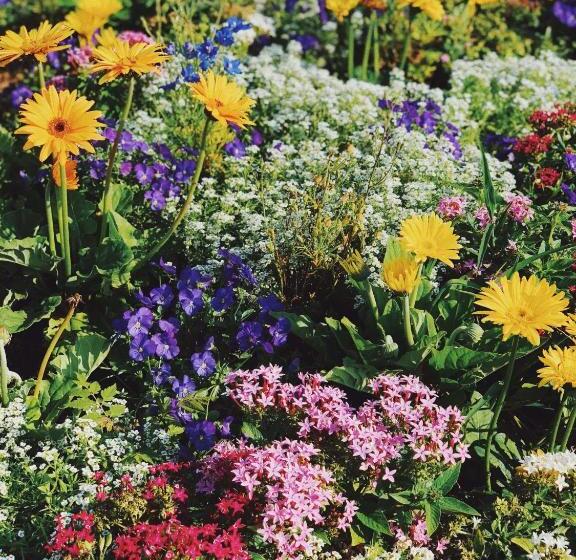 酒店 Langenmantel Historic Suites