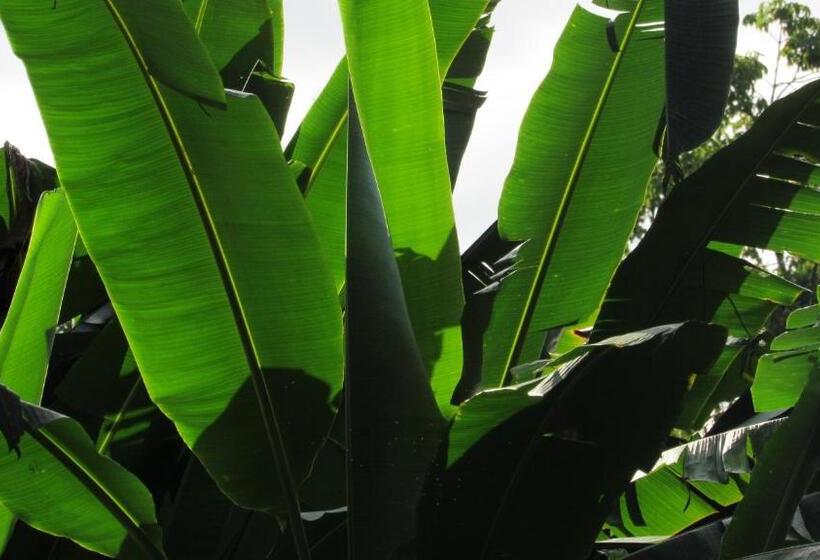 Otel Vila Do Porto Pousada