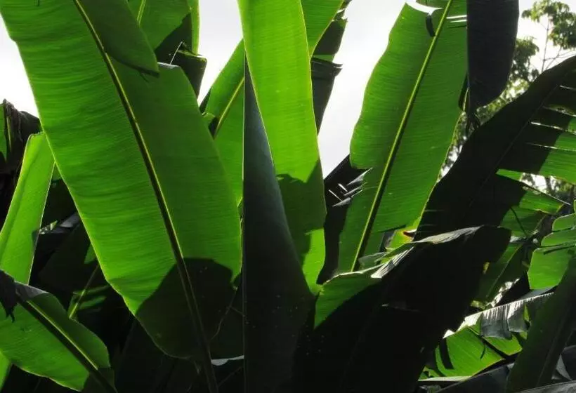 Hotelli Vila Do Porto Pousada