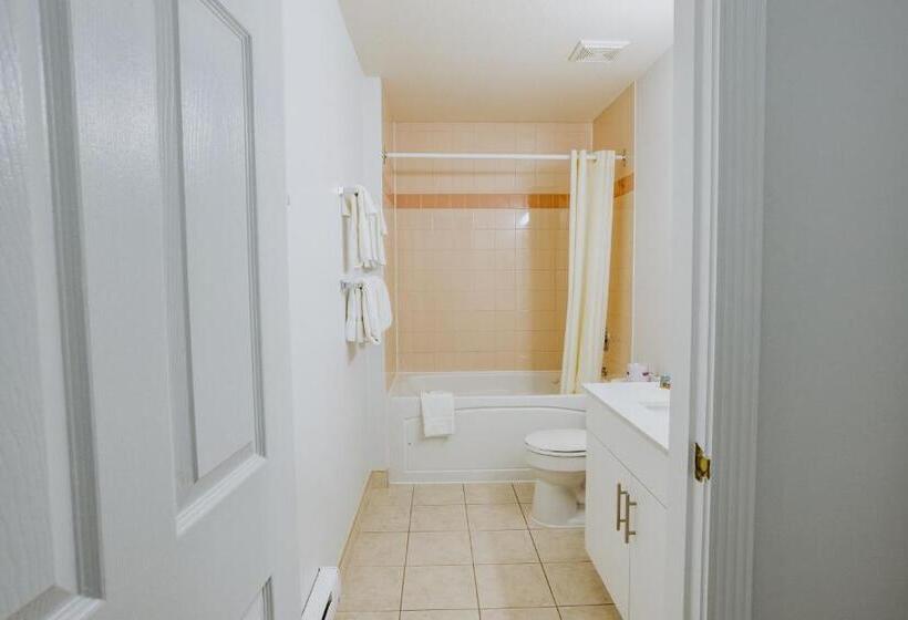 هتل Mosaic Suites