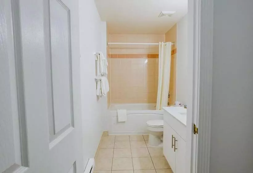 هتل Mosaic Suites