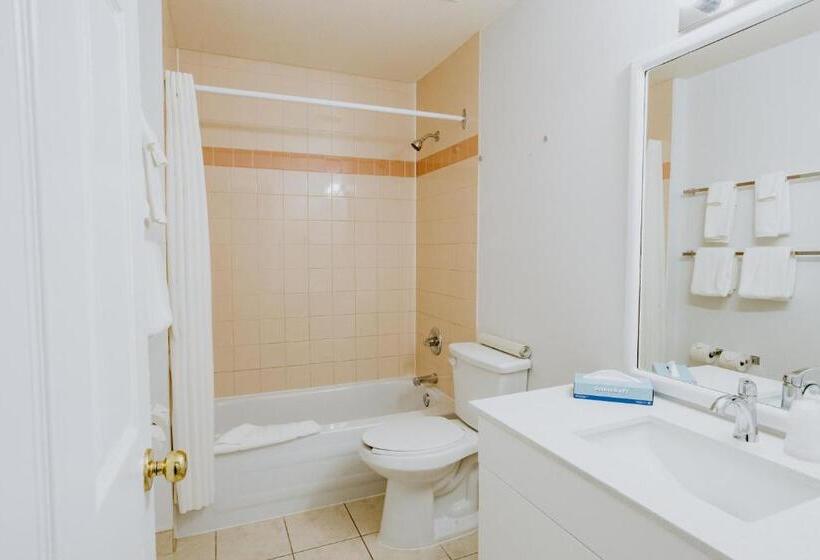 هتل Mosaic Suites