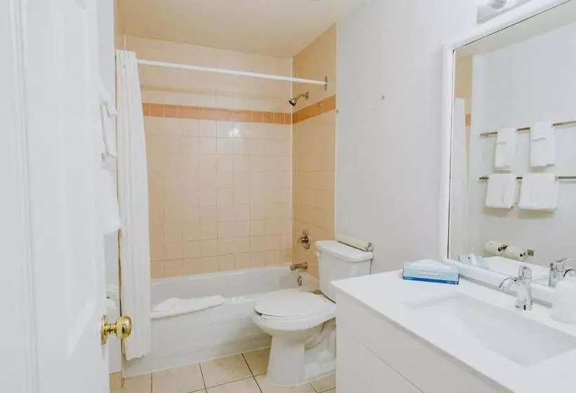 هتل Mosaic Suites