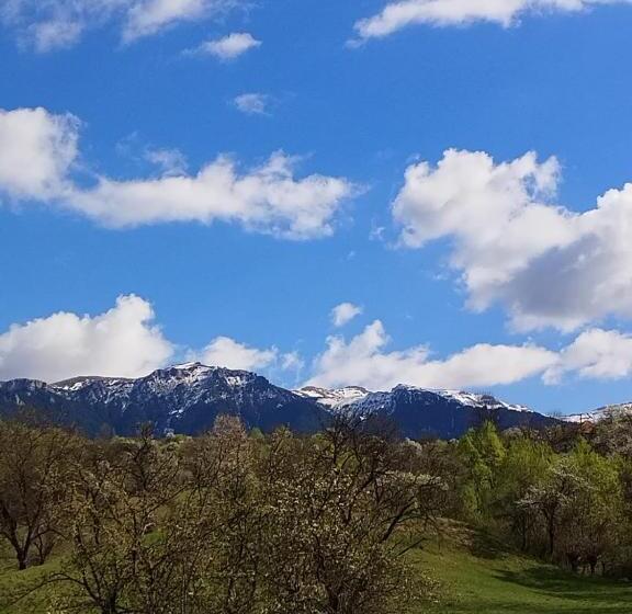 펜션 Casuta Din Deal