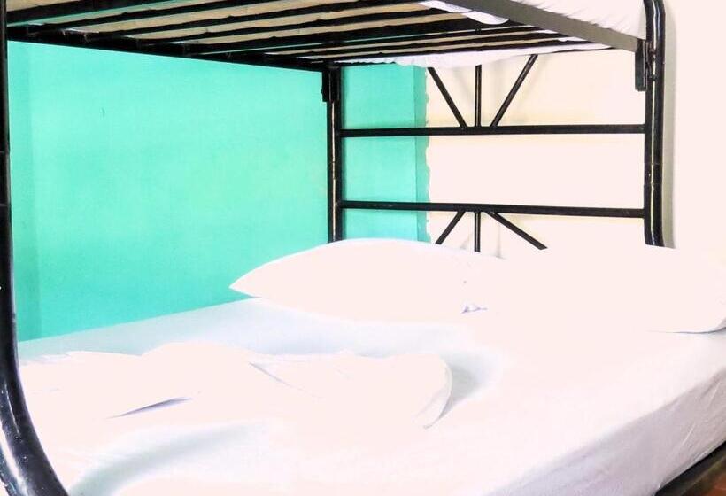 בית מלון כפרי Casa Reyna