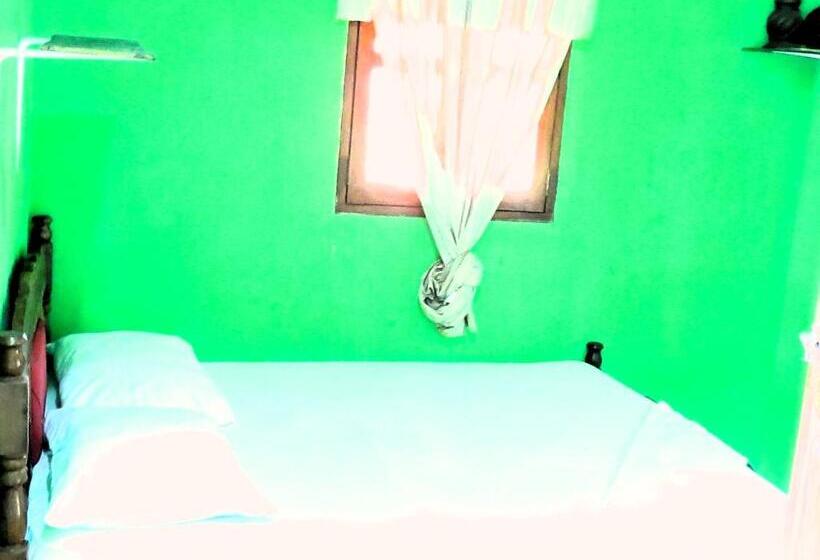 בית מלון כפרי Casa Reyna