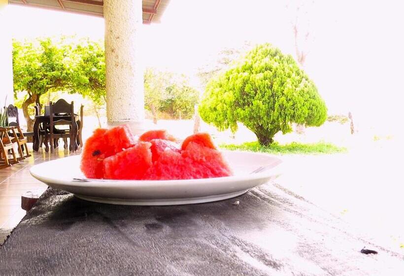 בית מלון כפרי Casa Reyna