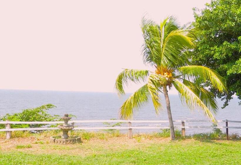 בית מלון כפרי Casa Reyna