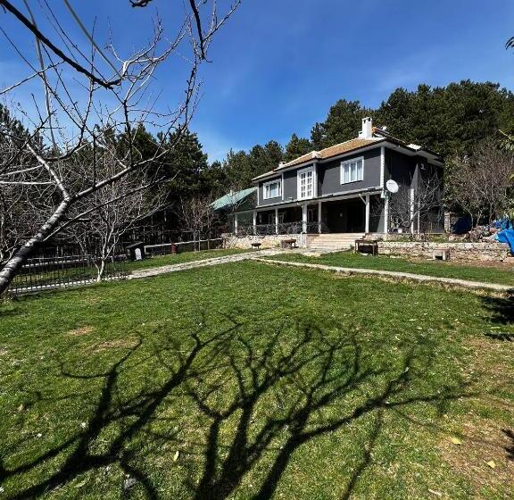 Отель Chalet Verde