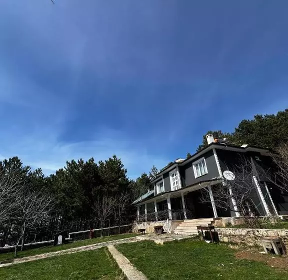 ホテル Chalet Verde