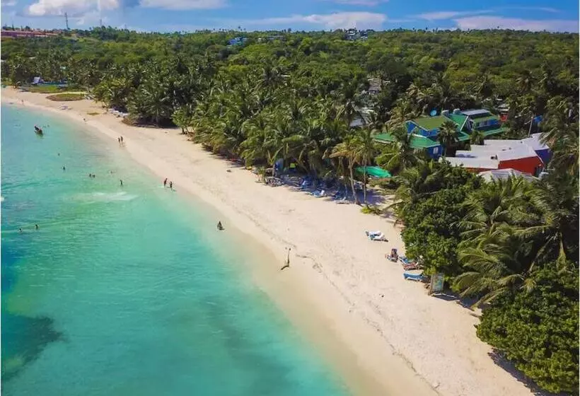 ホテル Cocoplum   Family Suite   Colombia