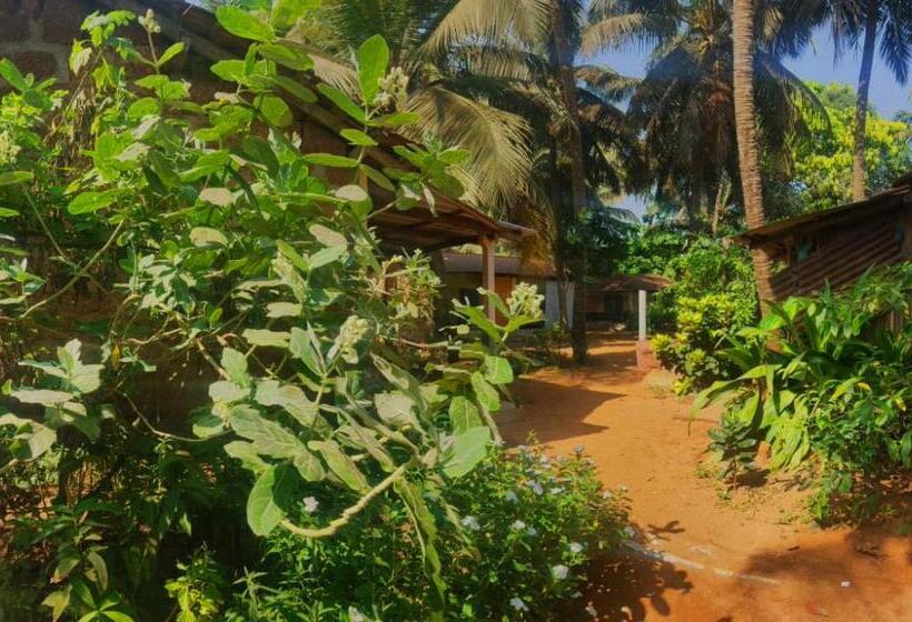 酒店 Prakruti Gokarna