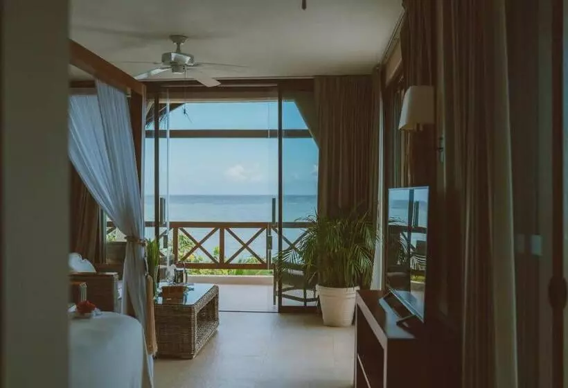 Jashita Hotel   Aphrodite Honeymoon Suite   Mexico