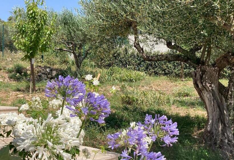 Пансион La Bastide De Basson   Luxe Sur Correns