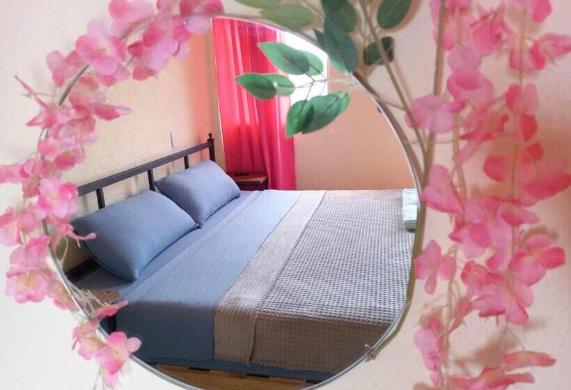 پانسیون Hospedaje Terraza Nezahualcoyotl