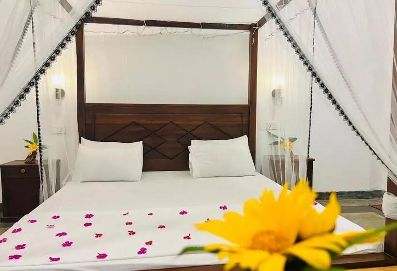 ペンション Sunset Resort Tangalle