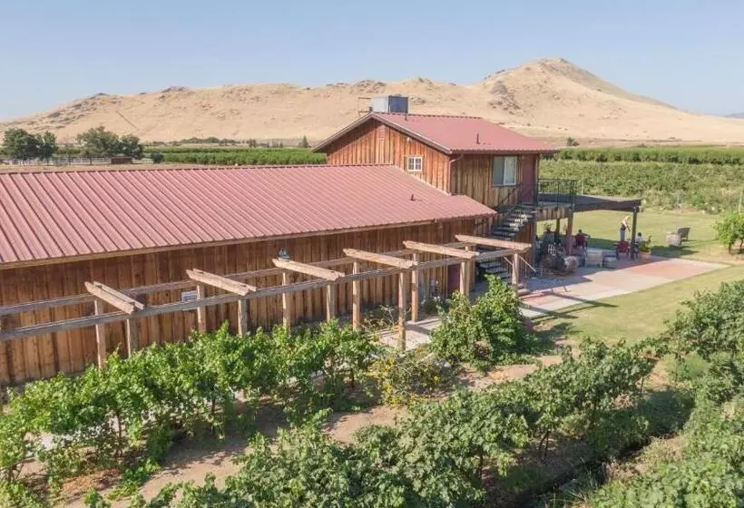 Aamiaismajoitus (B&B) Sequoia View Vineyard