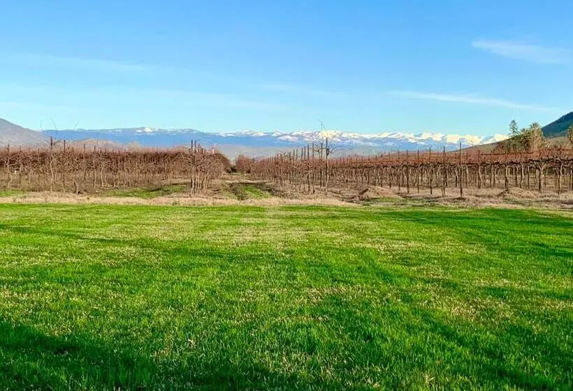 Aamiaismajoitus (B&B) Sequoia View Vineyard