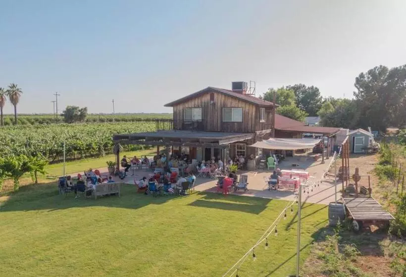 Aamiaismajoitus (B&B) Sequoia View Vineyard