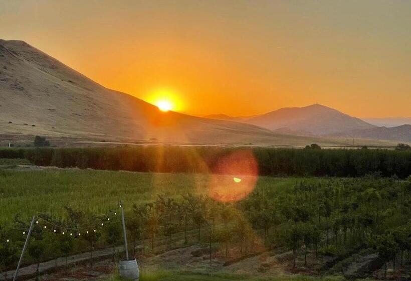 住宿加早餐  Sequoia View Vineyard