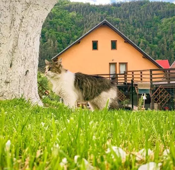 ペンション Hilltop House