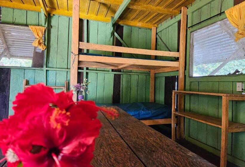 פנסיון Resguardo Indigena Yagua