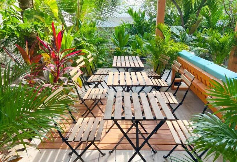 پانسیون Villa Laguna Maldives