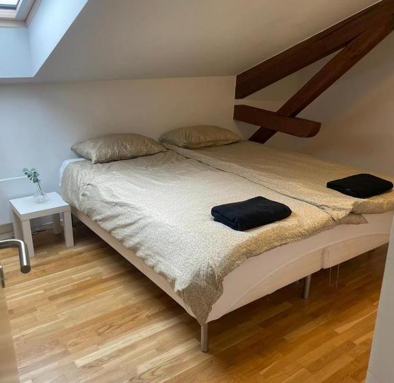 Private Rom For Two In Oslo City Center Main Street Walking Distance