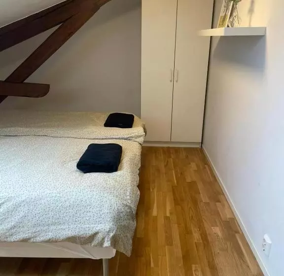 Private Rom For Two In Oslo City Center Main Street Walking Distance