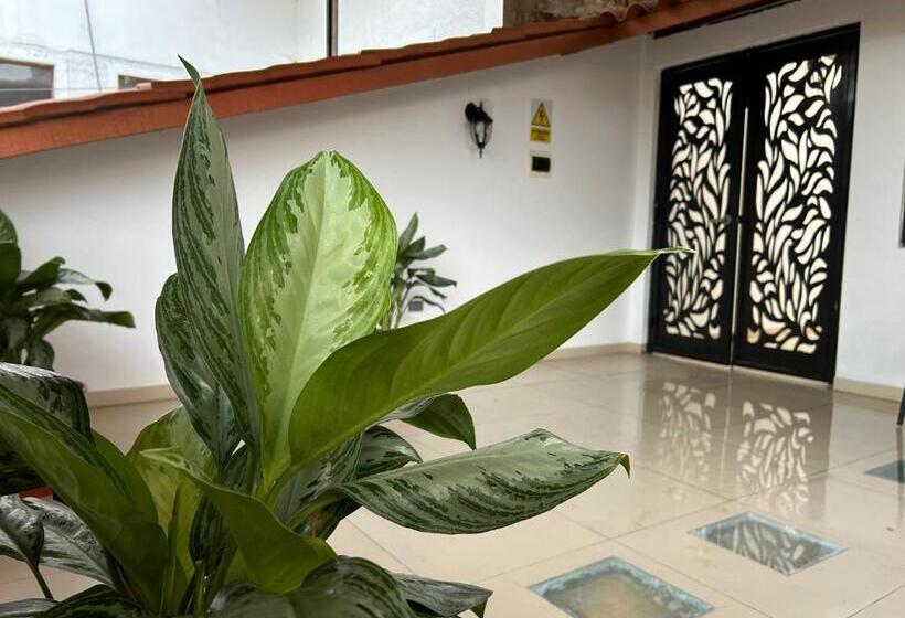 הוסטל Habitaciones La Casona