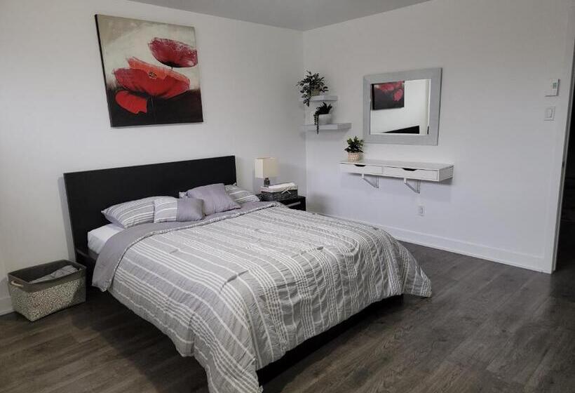 تختخواب و صبحانه Confort