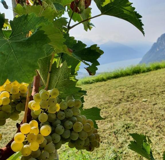 酒店 Agritur Calvola