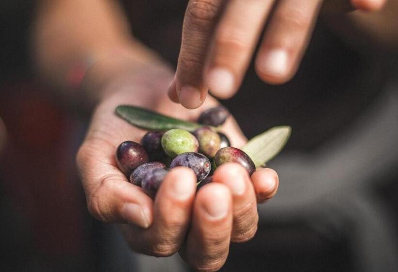 酒店 Agritur Calvola