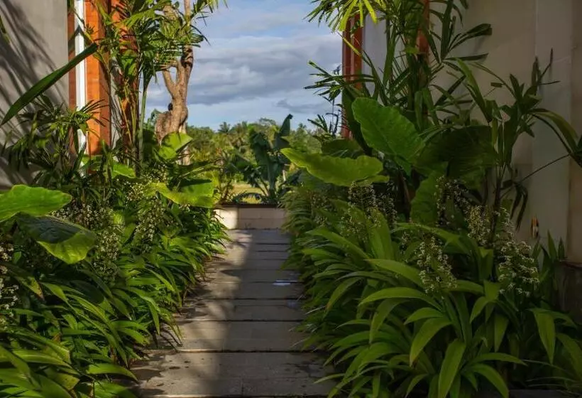 ホテル Griya D Carik