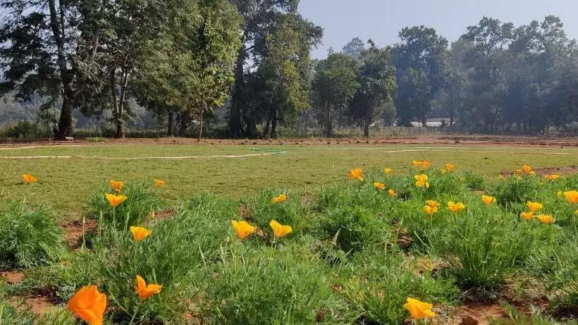 ホテル Similipal Nature Retreat