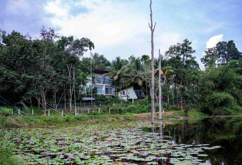 פנסיון Crocolakes Huts By Travellikee