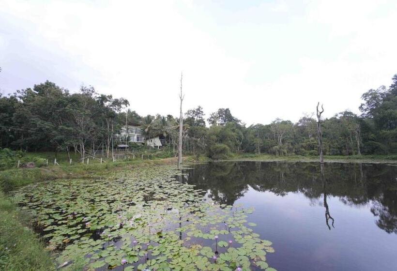 פנסיון Crocolakes Huts By Travellikee