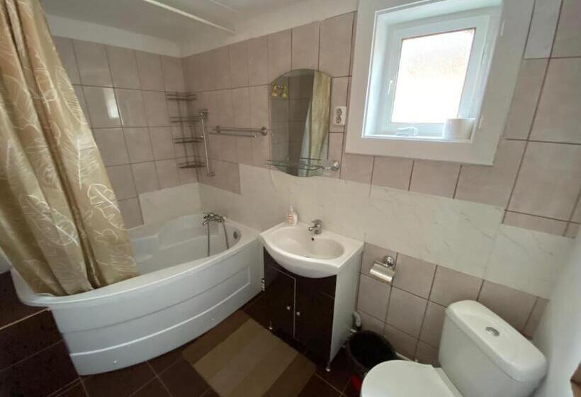 Pensiunea Casa Andrei