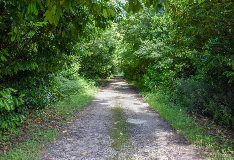 مبيت وإفطار Domaine De Laguneaussan