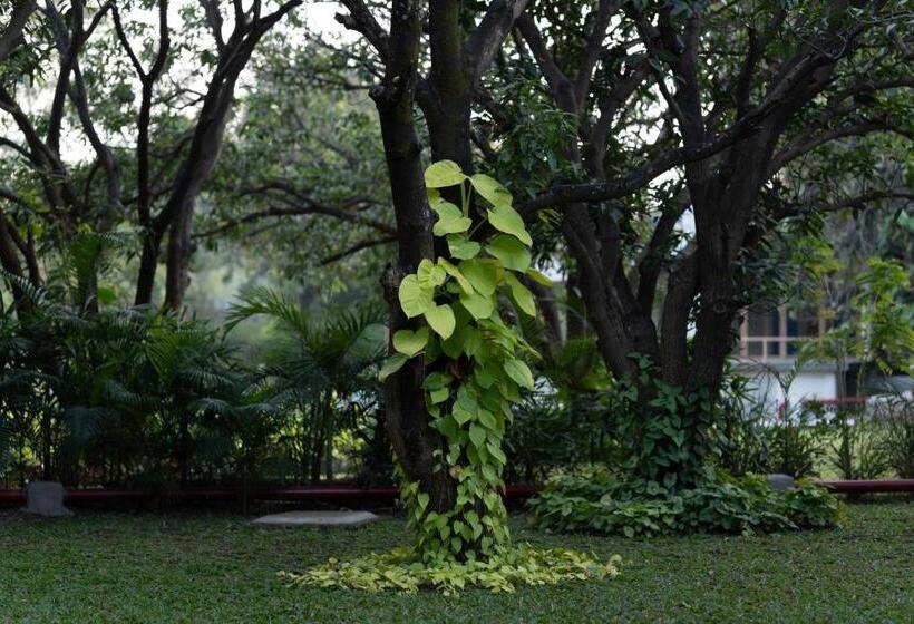 Giovanni Village Resort