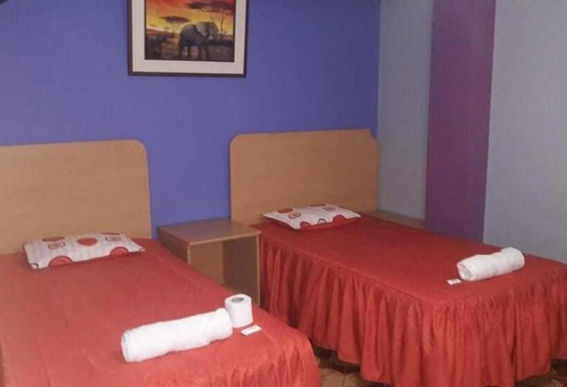 فندق Hostal Nochero S