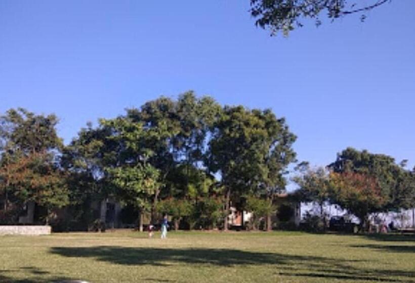 酒店 Vamoose Rupmati The Valley