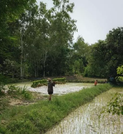 Majatalo บ้านสวนแก้วคำแพง Baan Suan Kaew Khampaeng