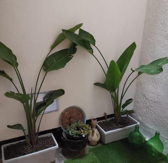 پانسیون Indelli Holiday Rooms   Il Sottano