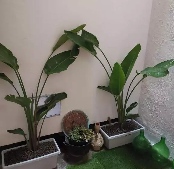 پانسیون Indelli Holiday Rooms   Il Sottano